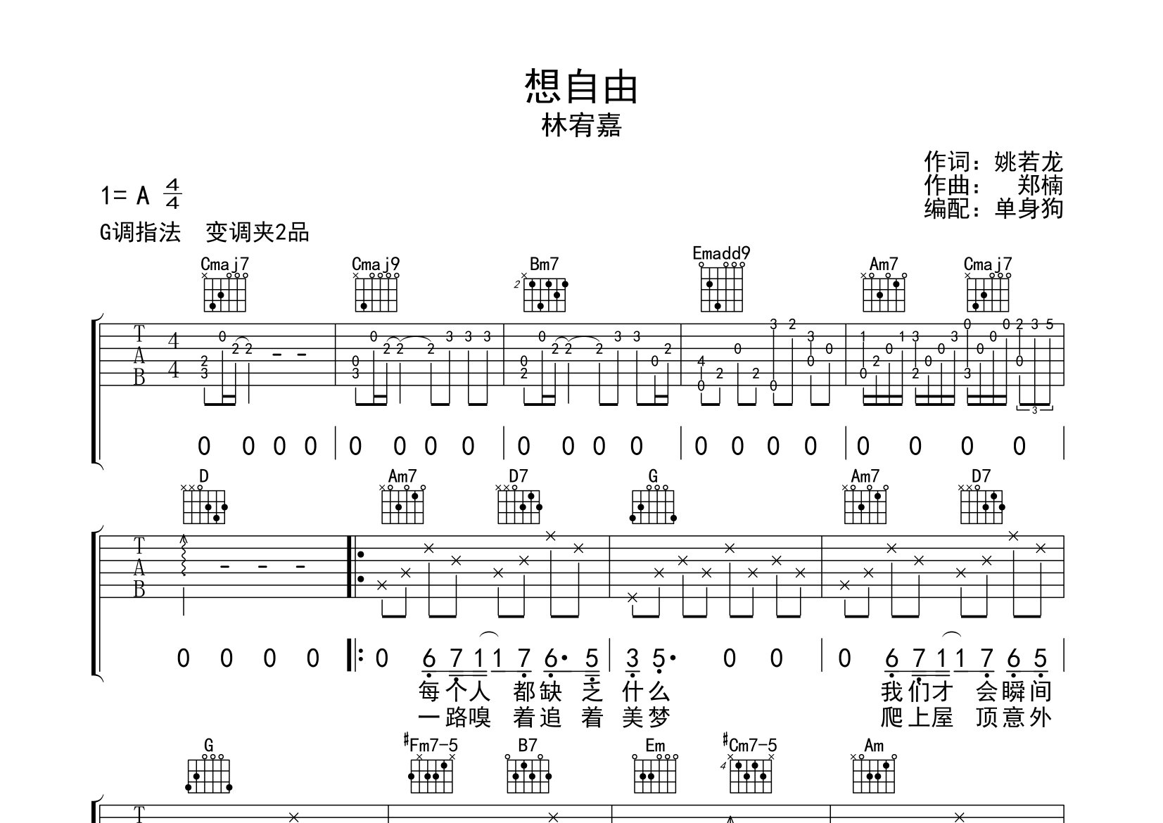 想自由吉他谱_林宥嘉_G调弹唱六线谱_单身狗上传