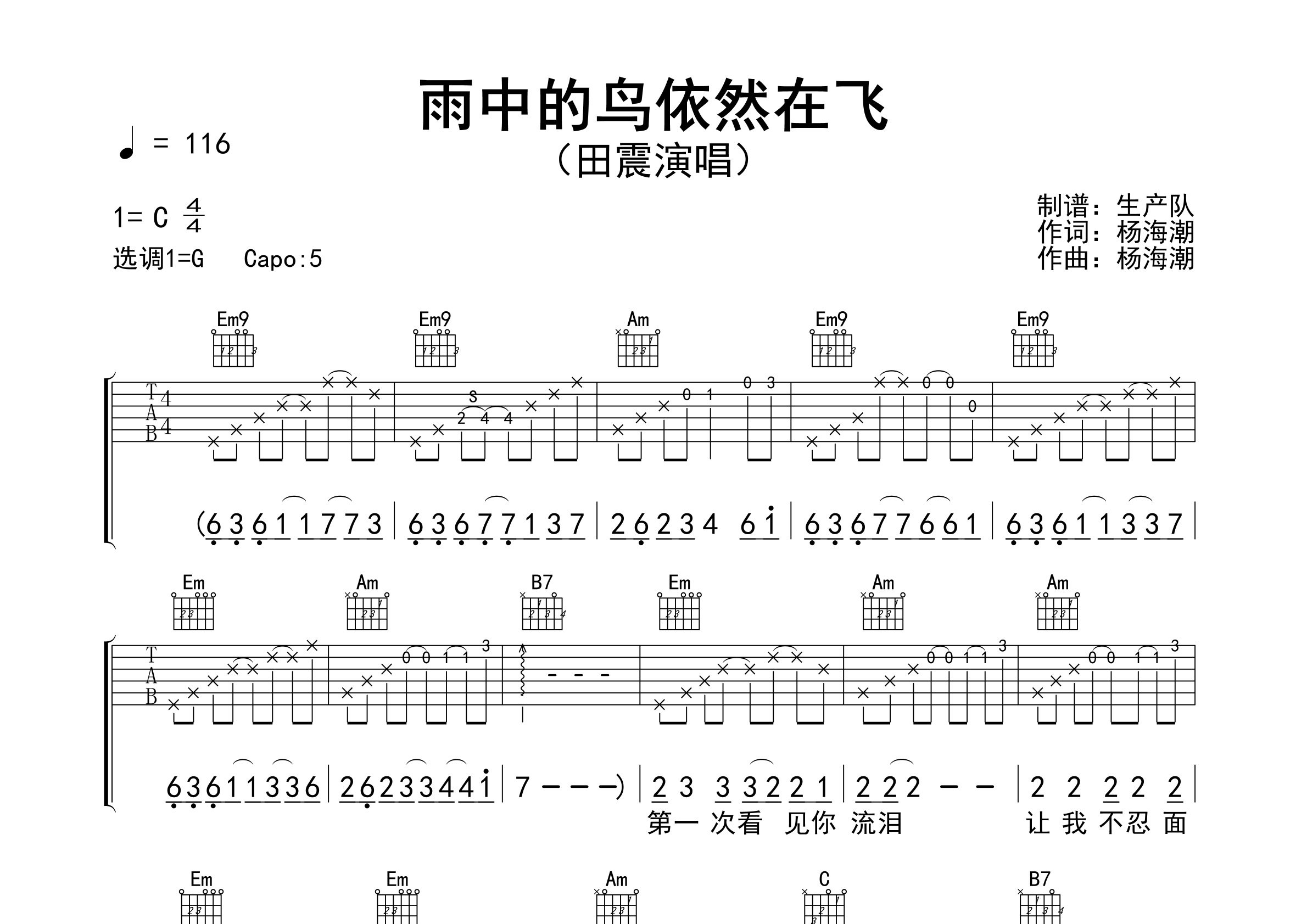 雨中的鸟依然在飞吉他谱_田震_G调弹唱六线谱_生产队上传