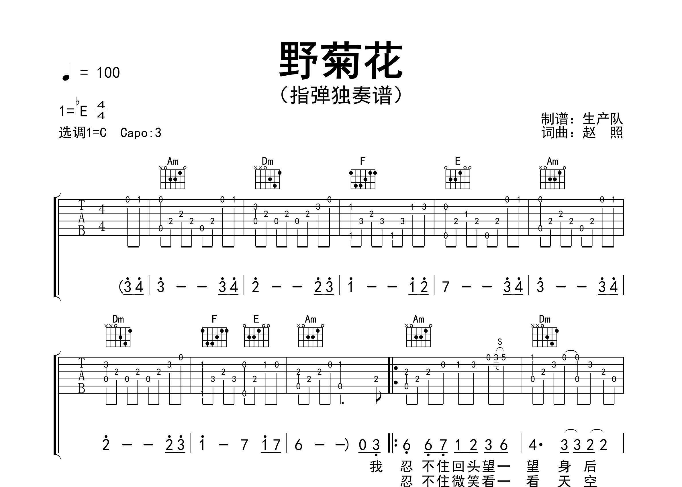 野菊花指弹吉他谱_赵照_独奏六线谱_生产队上传
