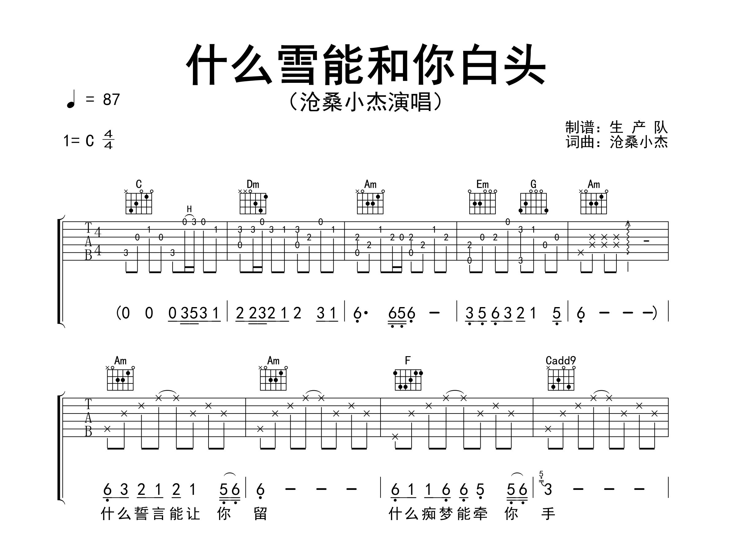 什么雪能和你白头吉他谱_沧桑小杰_C调弹唱六线谱_生产队上传