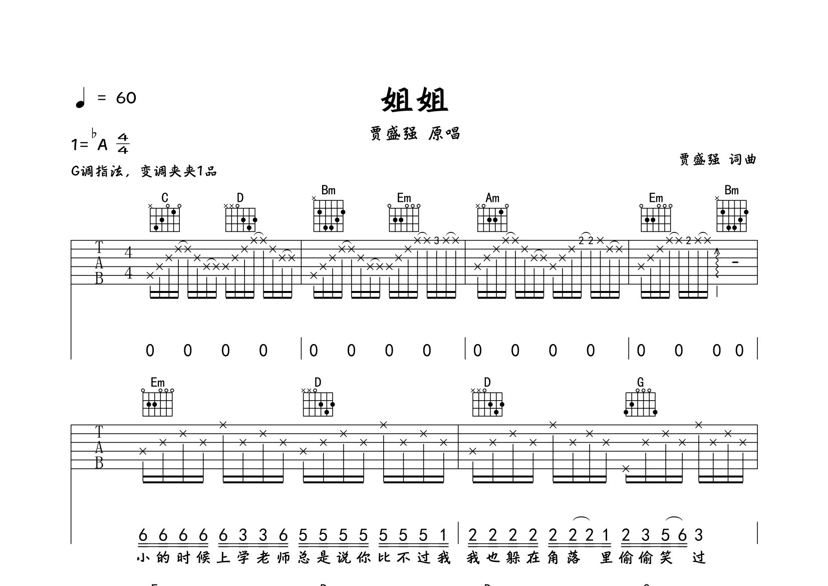 姐姐吉他谱_贾盛强_G调弹唱六线谱_弹走鱼尾纹上传