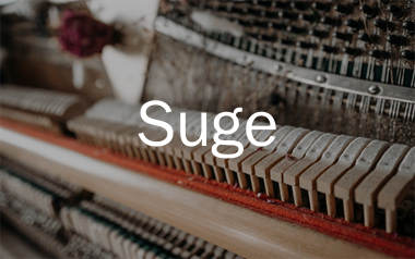 Suge钢琴谱/五线谱_Dababy_Suge钢琴独奏谱