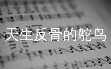 天生反骨的鸵鸟简谱_毛毛不插电_歌曲旋律简谱