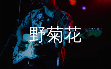 野菊花吉他谱_赵照_C调弹唱六线谱_单身狗上传