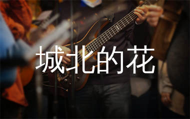 城北的花吉他谱_王宇宙Leto/乔浚丞_C调弹唱谱_单身狗上传