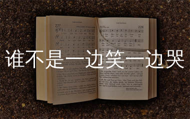 谁不是一边笑一边哭简谱_田园_歌曲简谱_生产队上传