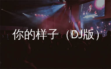 你的样子简谱_王小宁_DJ版歌曲旋律简谱_生产队上传