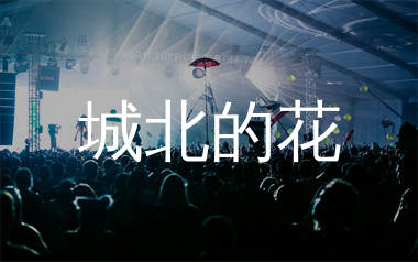 城北的花简谱_王宇宙Leto/乔浚丞_歌曲旋律简谱