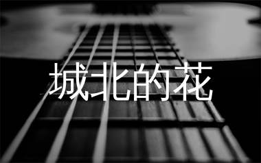 城北的花吉他谱_王宇宙Leto/乔浚丞_C调弹唱谱_生产队上传