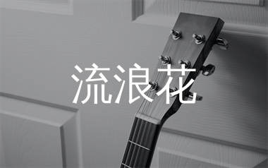 流浪花吉他谱_花姐_C调弹唱六线谱_生产队上传
