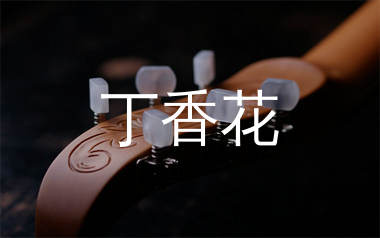 丁香花吉他谱_唐磊_G调弹唱六线谱_生产队上传