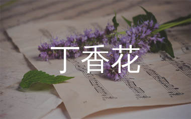 丁香花简谱_唐磊_丁香花歌曲旋律简谱_生产队上传