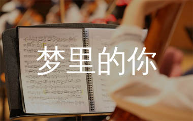 梦里的你简谱_金钰双双_歌曲旋律简谱_师渡尘上传