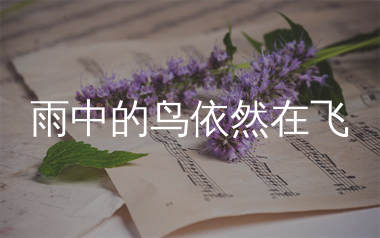 雨中的鸟依然在飞简谱_田震_歌曲简谱_生产队上传