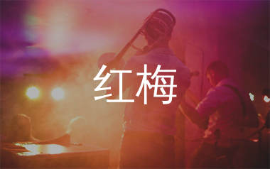 红梅吉他谱_魏佳艺_D调弹唱六线谱_师渡尘上传
