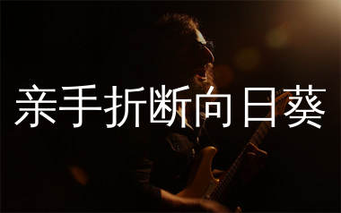 亲手折断向日葵吉他谱_玲安_C调弹唱六线谱_千千曲谱上传