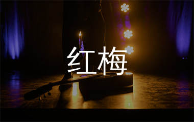 红梅吉他谱_薛鹏_C调弹唱六线谱_单身狗上传