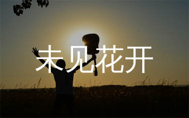 未见花开吉他谱_乱徵_C调弹唱六线谱_师渡尘上传