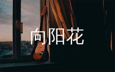向阳花吉他谱_谢天笑_G调和弦弹唱谱_生产队上传