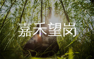 嘉禾望岗吉他谱_海来阿木_C调弹唱六线谱_单身狗上传