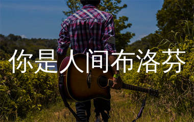 你是人间布洛芬吉他谱_陆晨风_G调弹唱六线谱_生产队上传