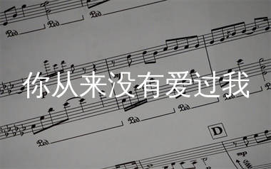 你从来没有爱过我简谱_励明_歌曲旋律简谱