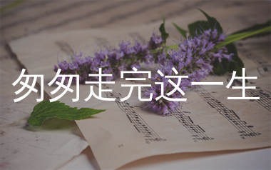 匆匆走完这一生简谱_张茜_歌曲简谱_生产队上传