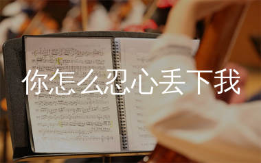 你怎么忍心丢下我简谱_励明_歌曲简谱_生产队上传