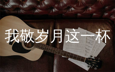 我敬岁月这一杯吉他谱_麻山伙_C调弹唱六线谱_生产队上传