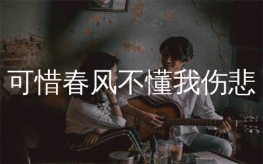 可惜春风不懂我伤悲吉他谱_范贵宾_G调弹唱谱_生产队上传