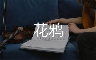 花鸦简谱_雾屿霓虹_歌曲旋律简谱_生产队上传