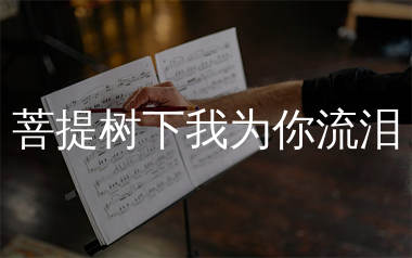 菩提树下我为你流泪简谱_铃小花_歌曲旋律简谱