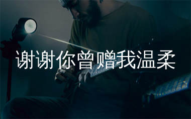 谢谢你曾赠我温柔吉他谱_奋斗哥的歌_G调弹唱谱_生产队上传