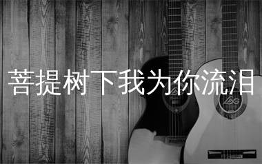 菩提树下我为你流泪吉他谱_铃小花_C调弹唱谱_生产队上传