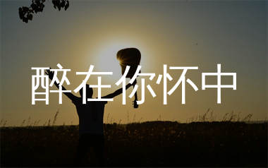 醉在你怀中吉他谱_费玉清_G调弹唱六线谱_生产队上传