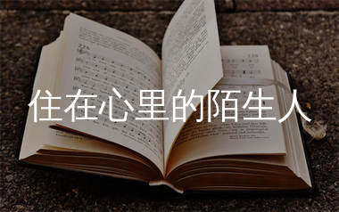 住在心里的陌生人简谱_小刀_歌曲旋律简谱