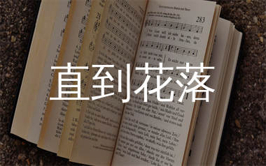 直到花落简谱_付俊乐_歌曲旋律简谱_生产队上传