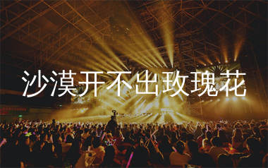 沙漠开不出玫瑰花简谱_王一佳_歌曲旋律简谱