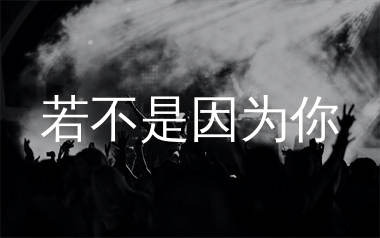 若不是因为你简谱_林栖_歌曲简谱_生产队上传