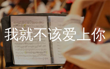 我就不该爱上你简谱_拾柒兄弟_歌曲简谱_生产队上传