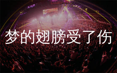 梦的翅膀受了伤简谱_蒋雪儿_歌曲简谱_生产队上传