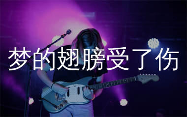 梦的翅膀受了伤吉他谱_蒋雪儿_G调弹唱六线谱_生产队上传