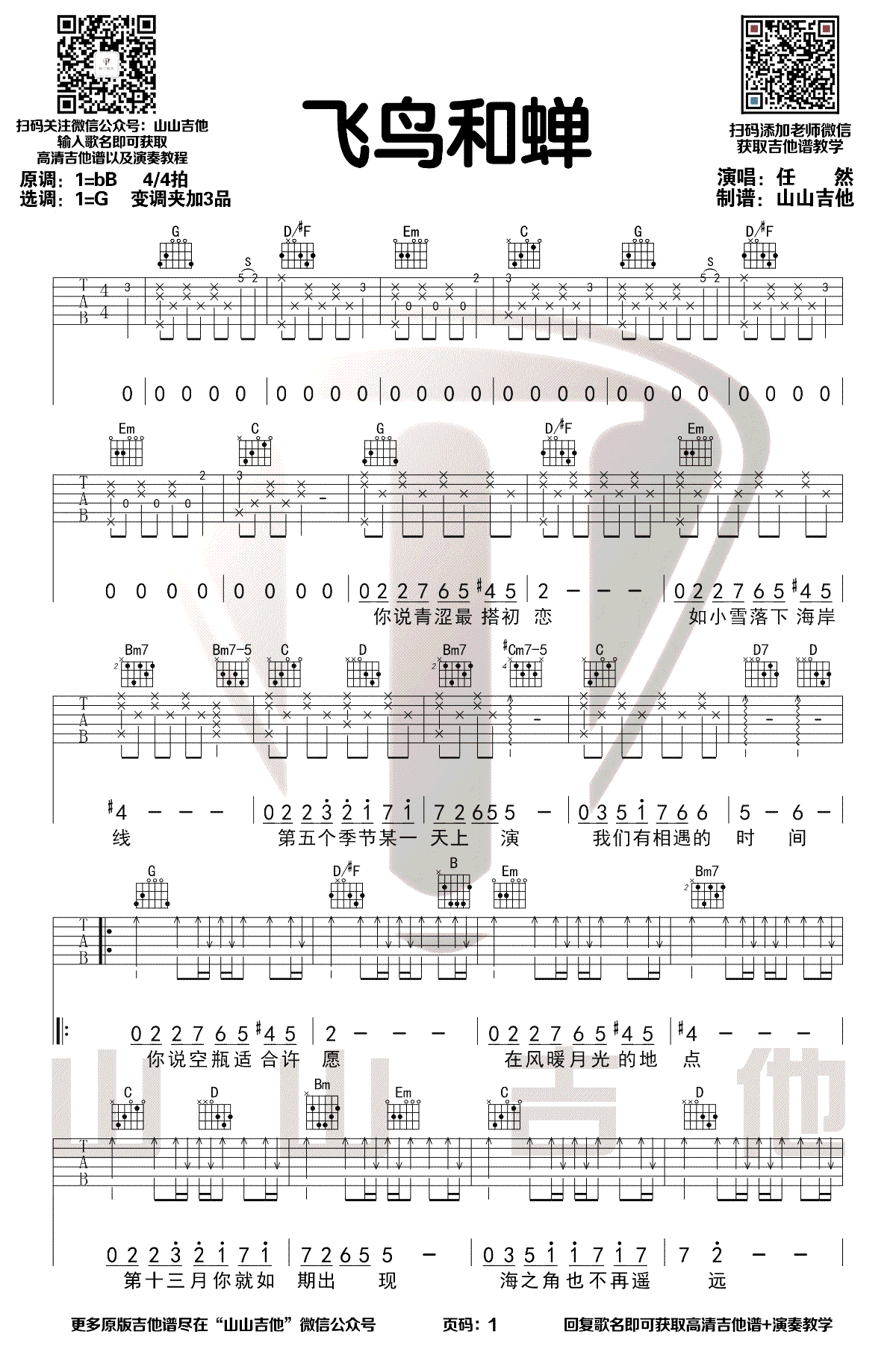 飞鸟和蝉吉他谱指弹图片