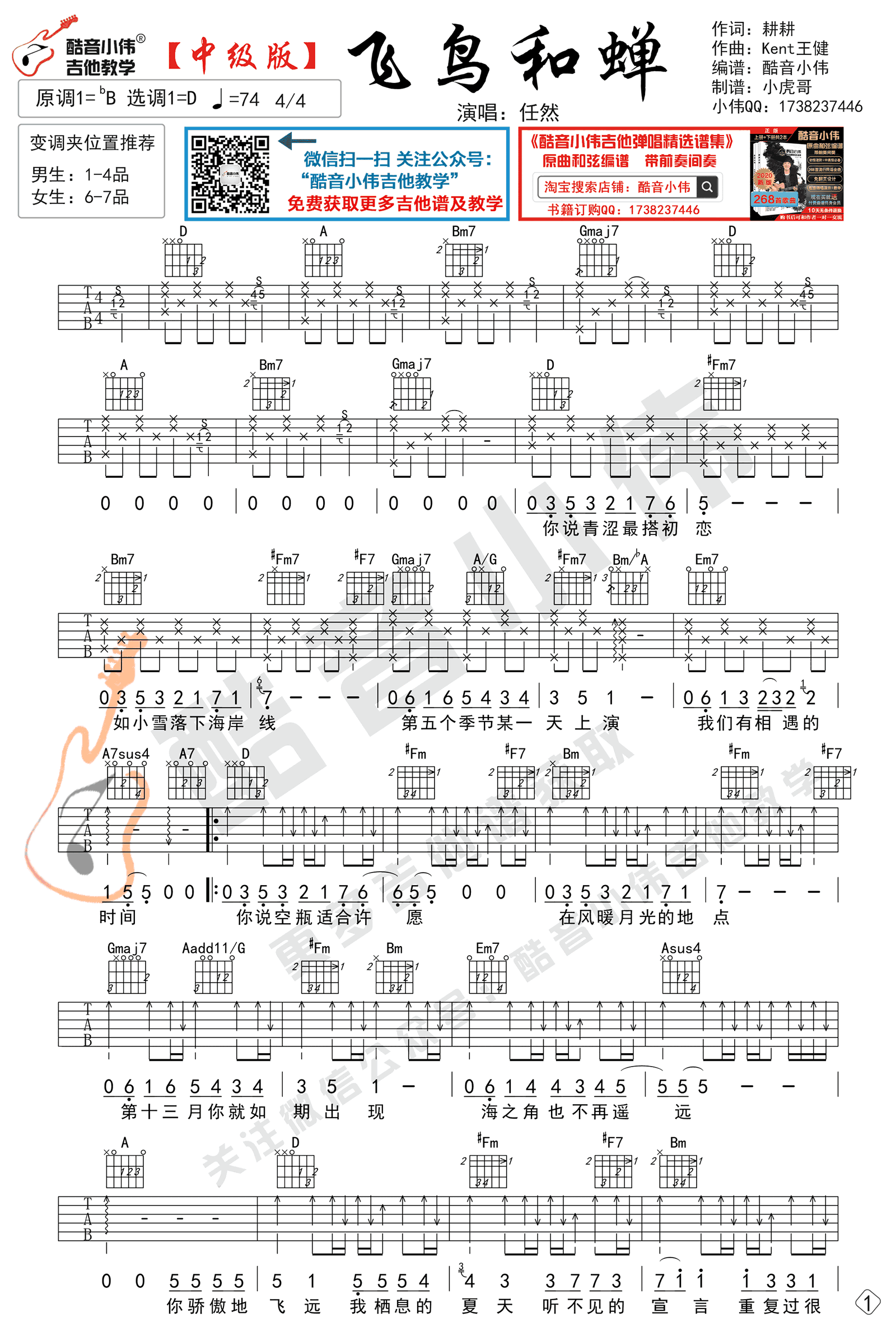 飞鸟和蝉吉他谱指弹图片